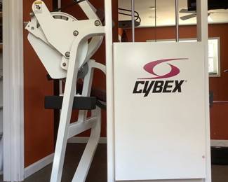 Cybex Machine Everlast Punch Bag