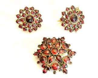 Beautiful Pin and Earring Set
