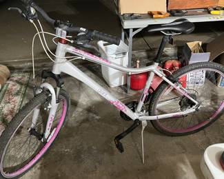 Mountain bike “Giant” by Enchant