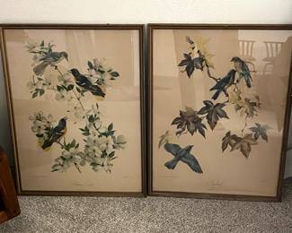 Pair of vintage, framed bird pictures
