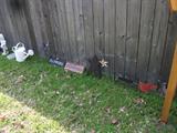 Yard Art.