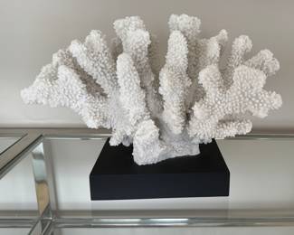 Coral Mounted on Ebony Stand.