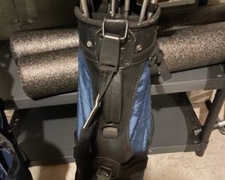 Titleist 990 31-paw flex steel irons w bag