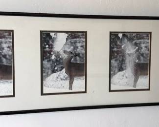 Framed photography and art