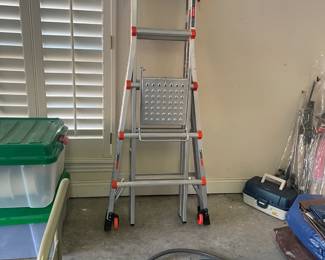 13 ladder