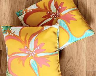 For a burst of color! Set of 2 lovely accent pillows for $10
16 x 16