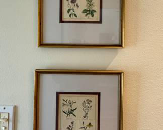 Botanica Prints. 