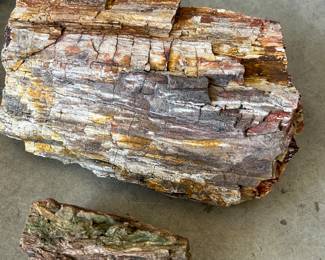 LARGE PETRIFIED WOOD