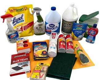 Box Cleaning Supplies Windex Simple Green Scour Pads Fire Extinguisher