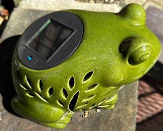 solar powered plant frog