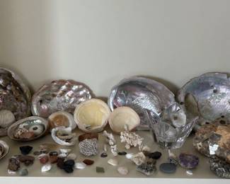 Large Collection Of Beautiful Seashells, Seaglass And Rocks