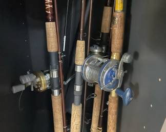 Assortment of Fishing Rods