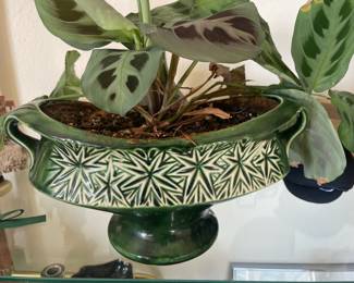 McCoy Atomic Starburst Green & White Planter with Planted Prayer Plant