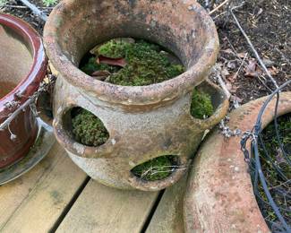 Terra Cotta Hens & Chicks Planter