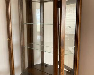 Wall Mount Display Case/Curio Cabinet