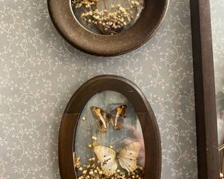 1970's Framed Butterfly & Flower Circular Shadow Box, 1970's Framed Butterfly & Flower Oval Shadow Box
