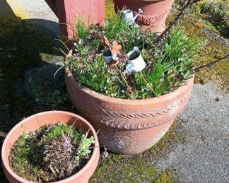 Assortment of Terra Cotta Planters