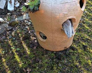 Hens & Chicks Planter