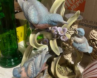 Bluejays Andrea online