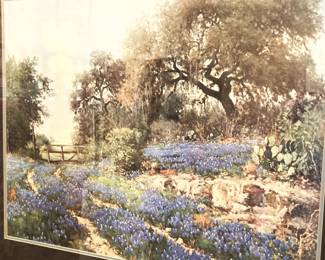 Framed bluebonnets