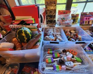 Popsicle Molds - Fruit and Vegetables- Foam Boards