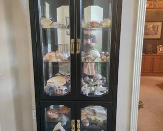 Ebony Display Cabinet with a Wonderful Shell Collection Inside