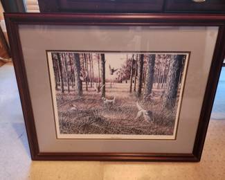 "First Season" Bird Dogs