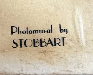 This is a BRILLIANT Vintage Antique Photo Mural of Saginaw Michigan. This was done by STOBBART The Photographer of Saginaw Mi. BTW - We have THREE of these, different subjects! 