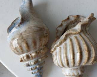 Sea shells