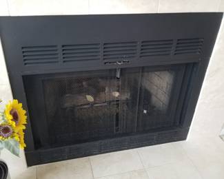 Gas fireplace insert with remote