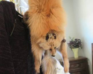 Fox Fur Wrap, Good Condition