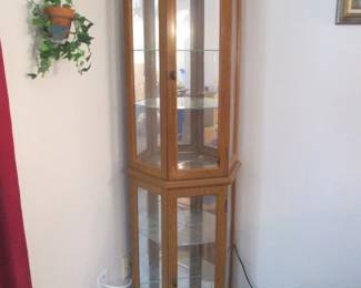 2-Lighted Curio Cabinets