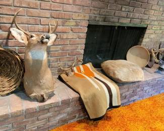 MOUNTS AND ANTLER RACKS