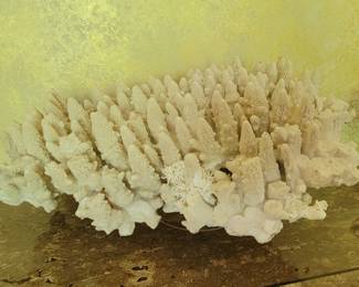 HUGE CORAL SPECIMEN MOUNTED ON LUCITE