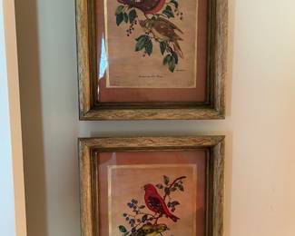 Lot #76 - $80 Pair of bird lithographs signed Vincent. 11"x14" each framed