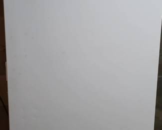 Upright freezer.  Bring help to move this