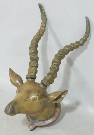 678 - Carved wood ridged antelope trophy head
