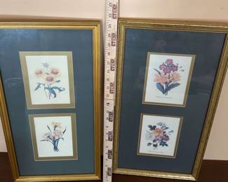 Two Framed Flower Pictures