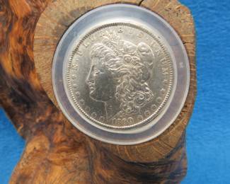 Lot 105. Oak burl silver dollar display.  1890 P Morgan