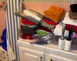 Towels, Bathroom Tub Handles, Medicine Cabinet, Mirror, Iron, Ironing Board and More!