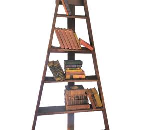 Decorative ladder and Antiques books