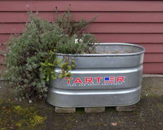 Tarter Metal Container for plants