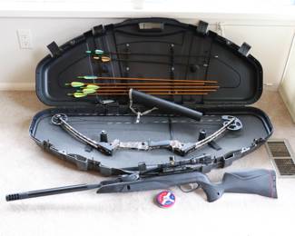 Archery Bow and Arrow Set, Pellet Gun