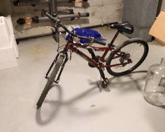 Adult bicycle Raleigh Mtn Scout