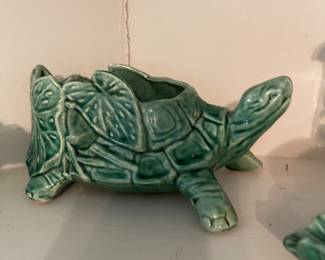 McCoy turtle 