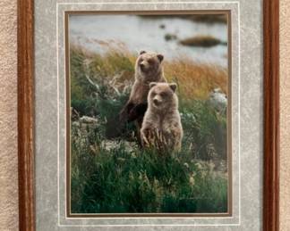 Vintage Signed Bear Cubs Framed Nature Photography