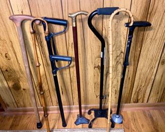 Canes/Walking Sticks