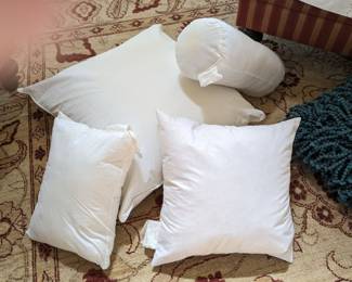 Misc filler pillows 