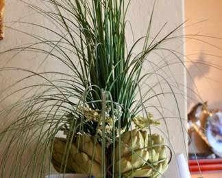 Indoor plant decor 