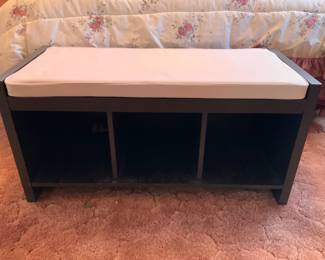 Cushioned Storage Bench
